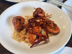 罗氏虾-猪肉婆私房菜(容桂总店)