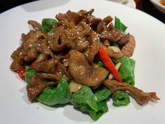 爆肥肠-解家河南菜(金水路店)