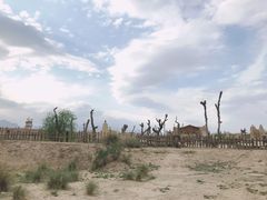 -镇北堡西部影城