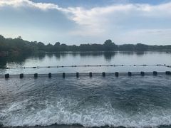 -西湖外事游船(花港观鱼码头)