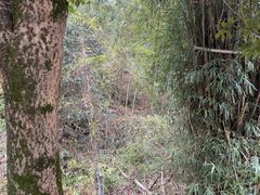 -梅岭神龙潭
