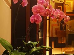 -惠州康帝国际酒店