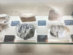 -安徽省地质博物馆