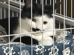 -龍歌自助小火锅(城阳万象汇店)