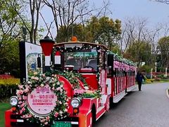 -上海浦江郊野公园·1号停车场