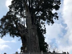 -云中大漈