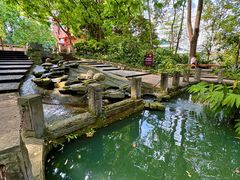 -成都市活水公园