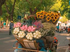 -花未央花店·WEYOUNG