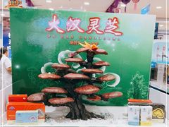 -上海市第一医药商店(南京东路店)