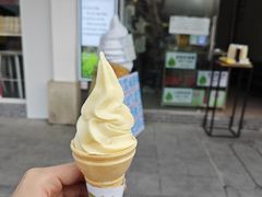 -长洲岛