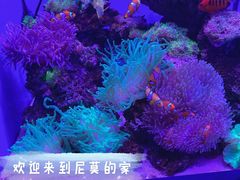 -多彩贵州城极地海洋世界