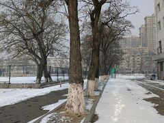 -辽宁大学(崇山校区)