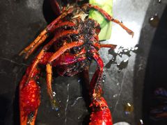 -巴四老城区炭火蛙锅(张江店)