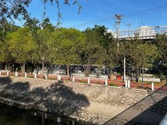 -大望京公园
