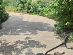 -滴水丹屏