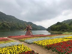 -广州市石门国家森林公园
