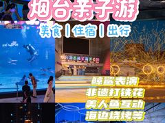 -烟台海昌鲸鲨海洋公园