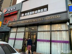 -宠爱国际动物医院· 猫科· 外科·中兽医(长白店)