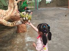 -昆明动物园