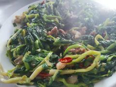 -庆岭迎宾园正宗活鱼馆