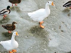 -迎泽公园