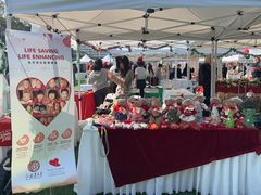 -上海英国外籍人员子女学校(浦西校区)