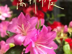 -古北壹号