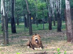 -秦皇岛野生动物园
