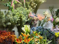 -溪岸路花鸟市场