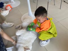 -怪兽屋·羊驼·猫咖·狗咖(俊华广场店)