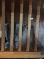 -青木造型HAIR·あおき髪を刈る潮人店