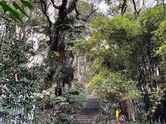 -杭州植物园