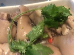 猪蹄-海底捞火锅(老城根店)