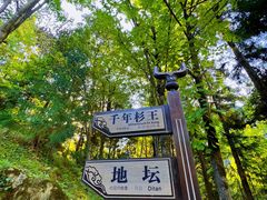 -神农架景区