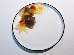 -态芮