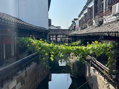 -丝绸小镇荻港古村