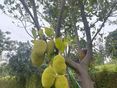 -水濂山森林公园