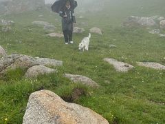 -莲宝叶则景区