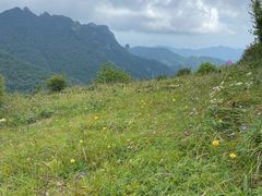 -秦岭风景区