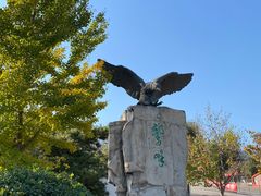 -北京鹫峰国家森林公园