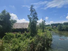 -芒洲湿地公园