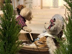 -成都泰迪熊博物馆