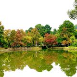 天平山虽然海拔只有200多米,在中国的诸多名山中算不