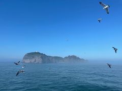 -海驴岛(荣成市)