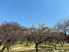 -无锡梅园公园