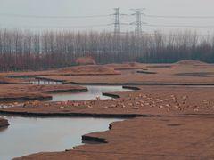 -溱湖国家湿地公园