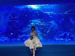 -欢乐海岸海洋奇梦馆