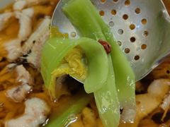 -冯鱼头火锅(青蓝山美食一条街店)