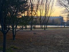 -森林公园(尖草坪区)