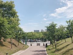 -镇江市南山风景名胜区竹林景区